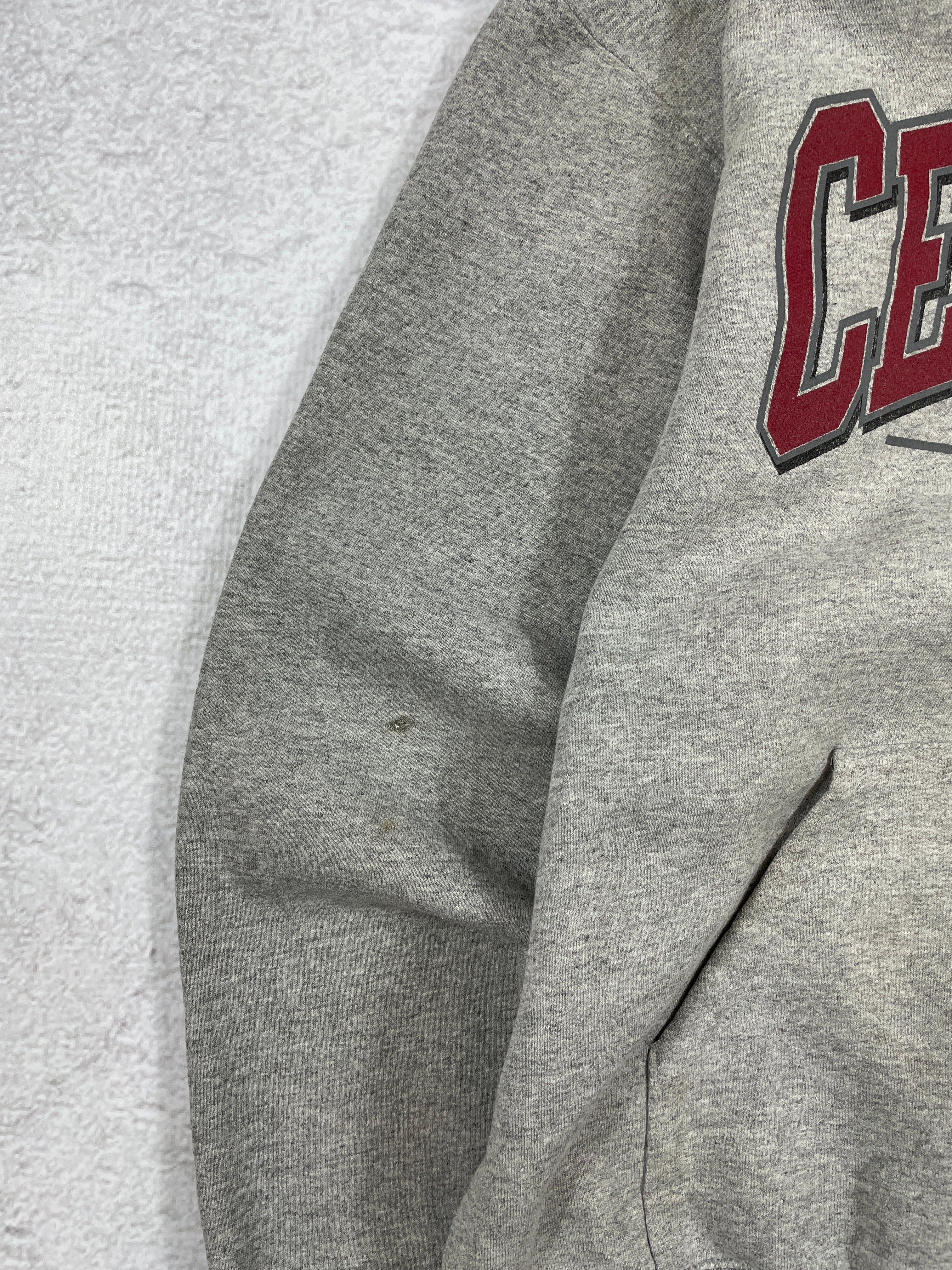 Vintage Champion Central Wildcats Hoodie - Men's Small